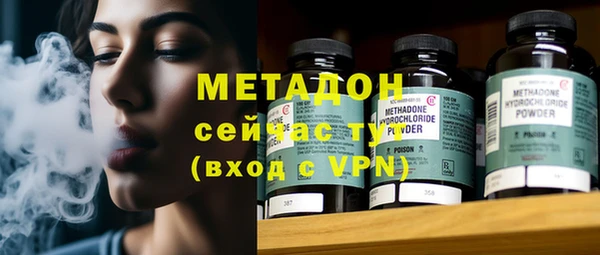 прущие грибы Рославль