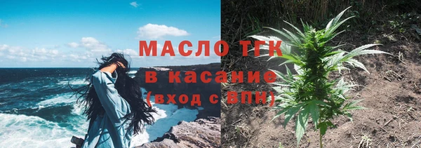 прущие грибы Рославль